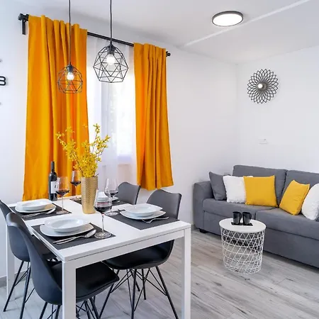 New And Modern Franicevic *