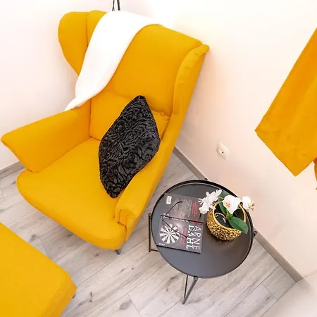 New And Modern Franicevic *