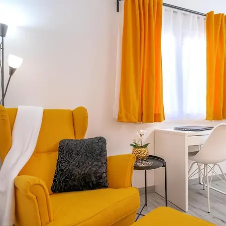 New And Modern Franicevic *