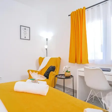 New And Modern Franicevic *