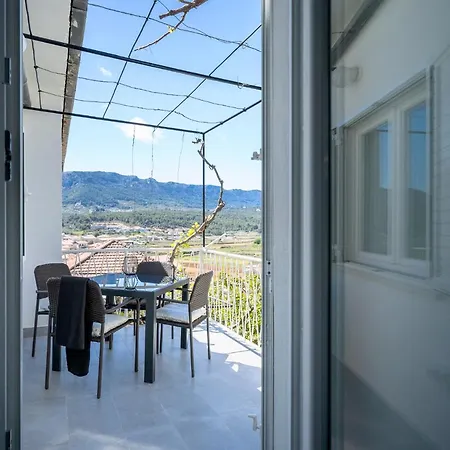 New And Modern Franicevic