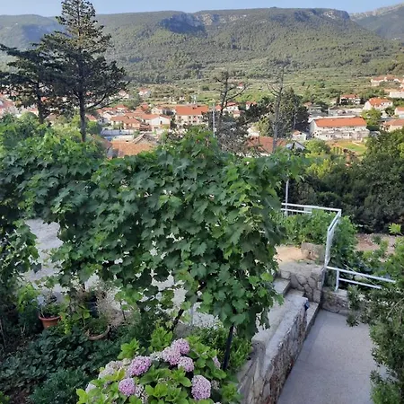 Apartment New And Modern Franicevic