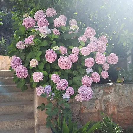 New And Modern Franicevic Apartment