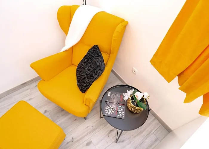 New And Modern Franicevic *