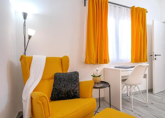 New And Modern Franicevic *