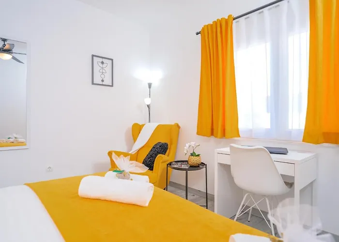 New And Modern Franicevic *