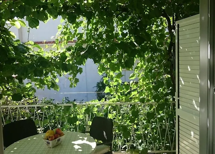 New And Modern Franicevic