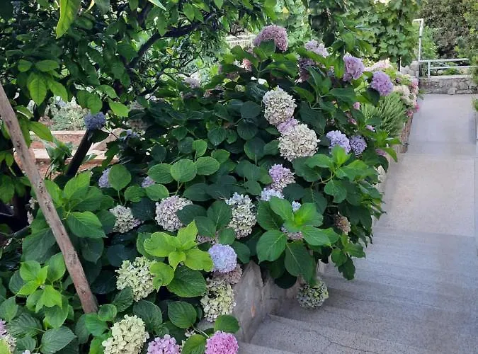 דירה New And Modern Franicevic ילסה