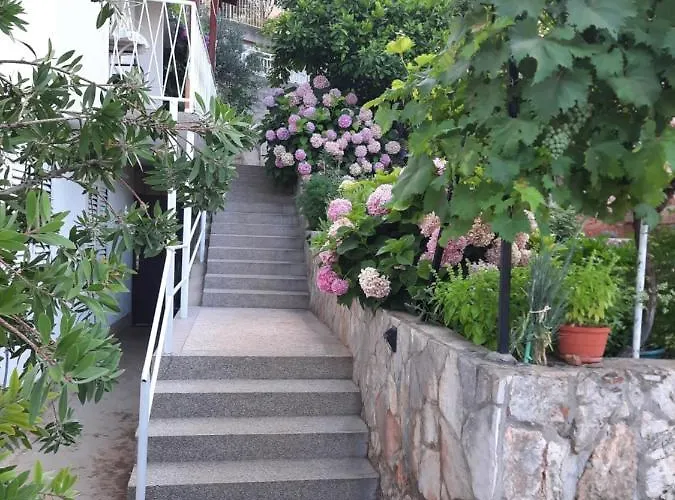 New And Modern Franicevic