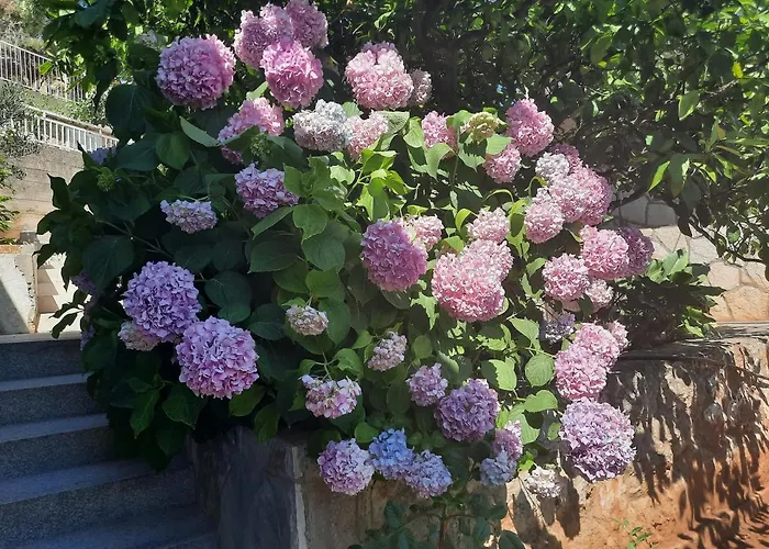 New And Modern Franicevic דירה ילסה